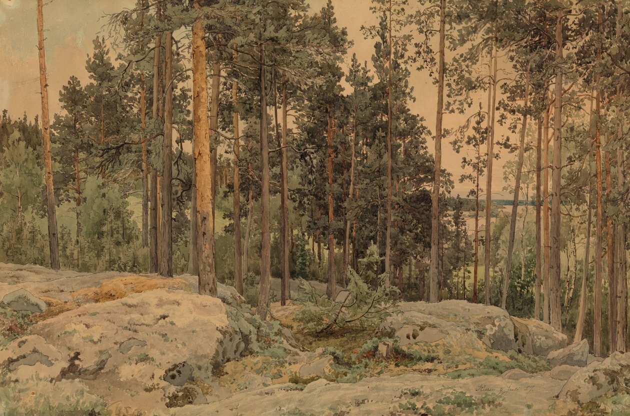 Uden titel af Werner Holmberg