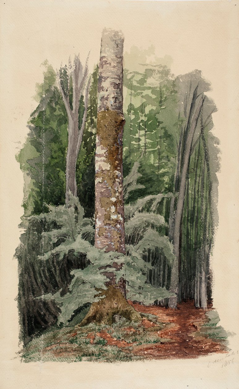 Uden titel af Werner Holmberg