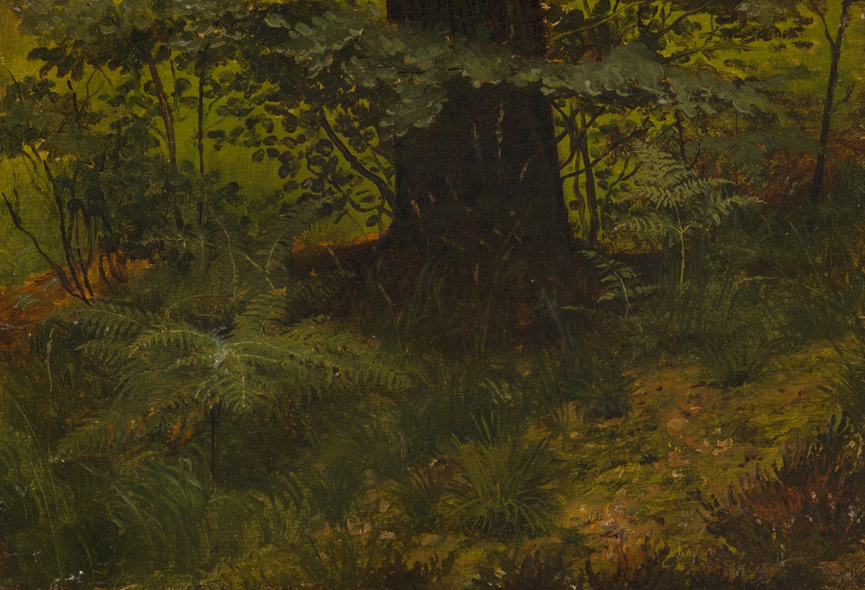 Uden titel af Werner Holmberg