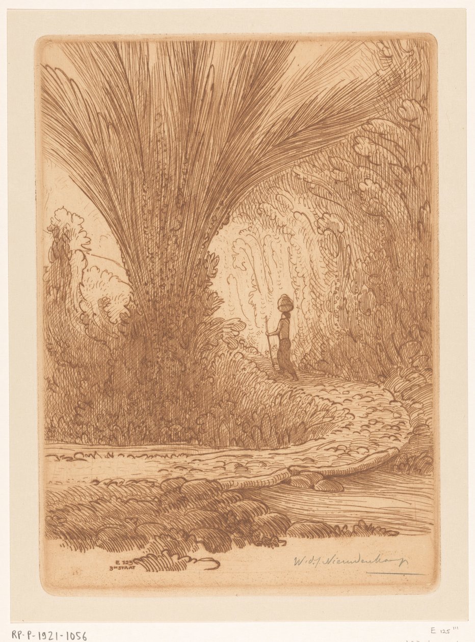 Tilgroet bjergside på Bali I bjergene (original titel) af Wijnand Otto Jan Nieuwenkamp (signed by artist)