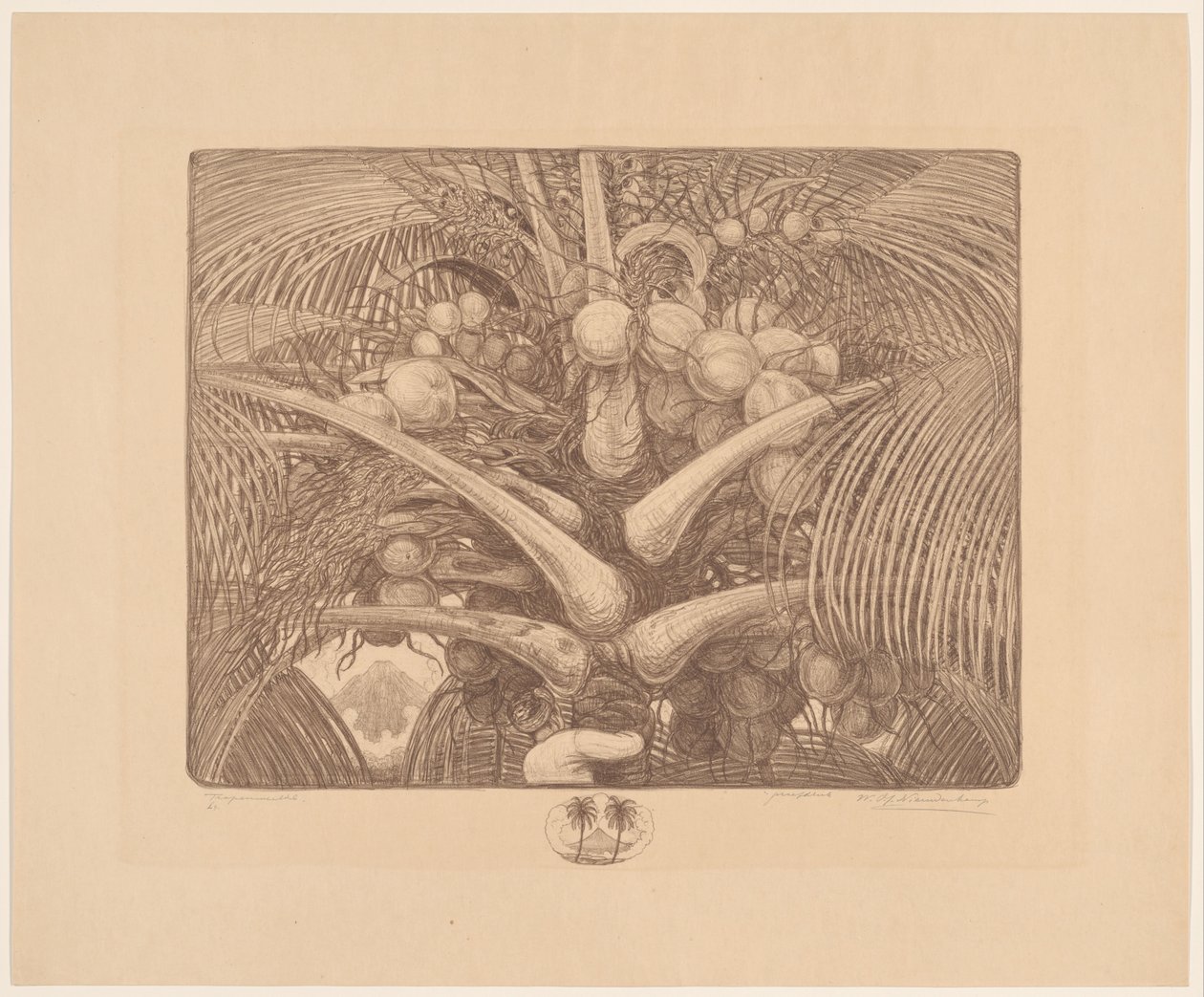 Toppen af ​​et kokosnøddetræ Tropenweelde (original titel på objekt) af Wijnand Otto Jan Nieuwenkamp (signed by artist)