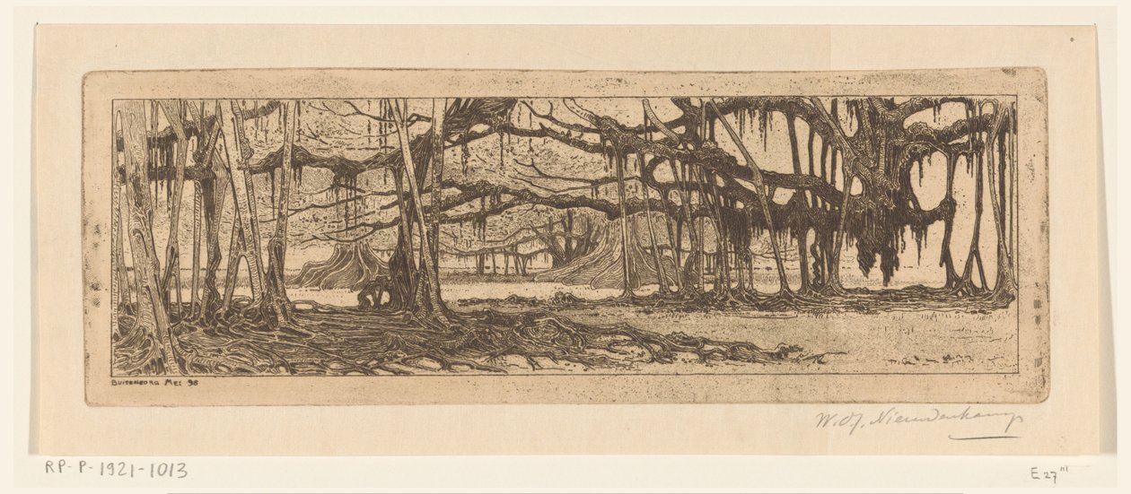 Waringin træer i en have i Buitenzorg I haven ved Buitenzorg (original titel) af Wijnand Otto Jan Nieuwenkamp (signed by artist)