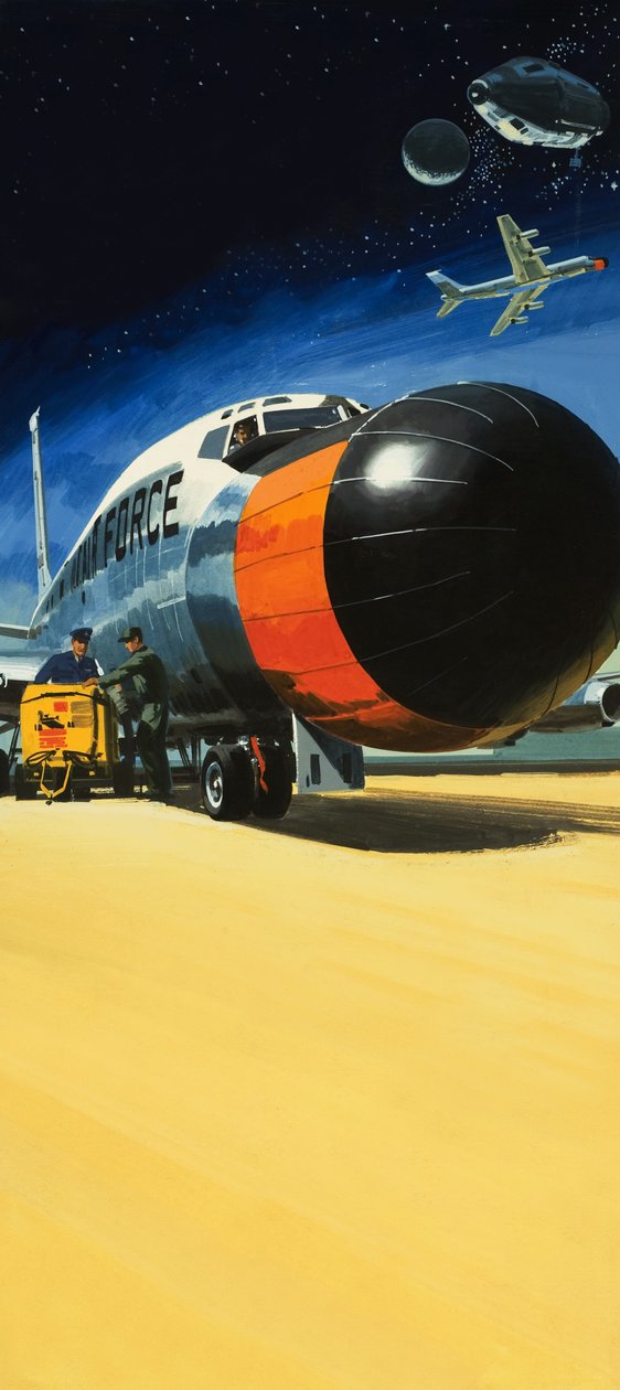 Uidentificeret fly med stor næse af Wilf (20th century) Hardy