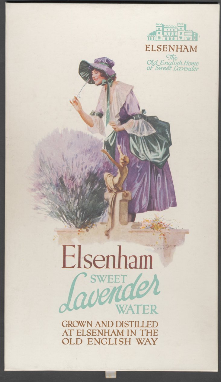 Elsenham Lavender, 1920