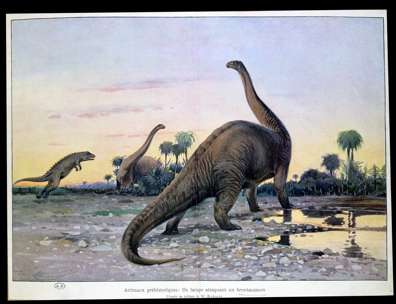 Forhistoriske dyr: en Laelaps, der angriber en Brontosaurus af Wilhelm Kuhnert