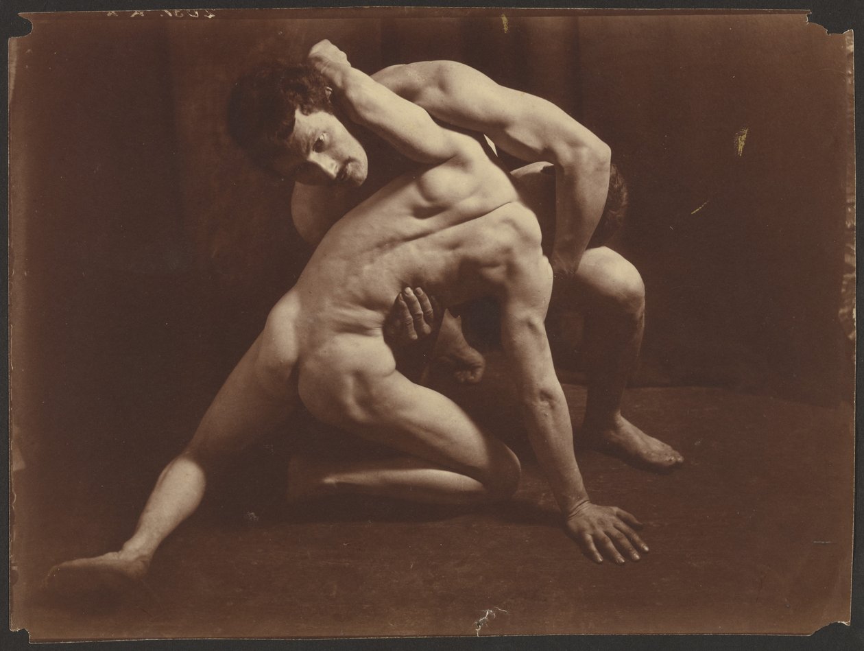 Wrestlers, ca. 1885-1905 (gelatine-sølvtryk) af Wilhelm Baron von Gloeden