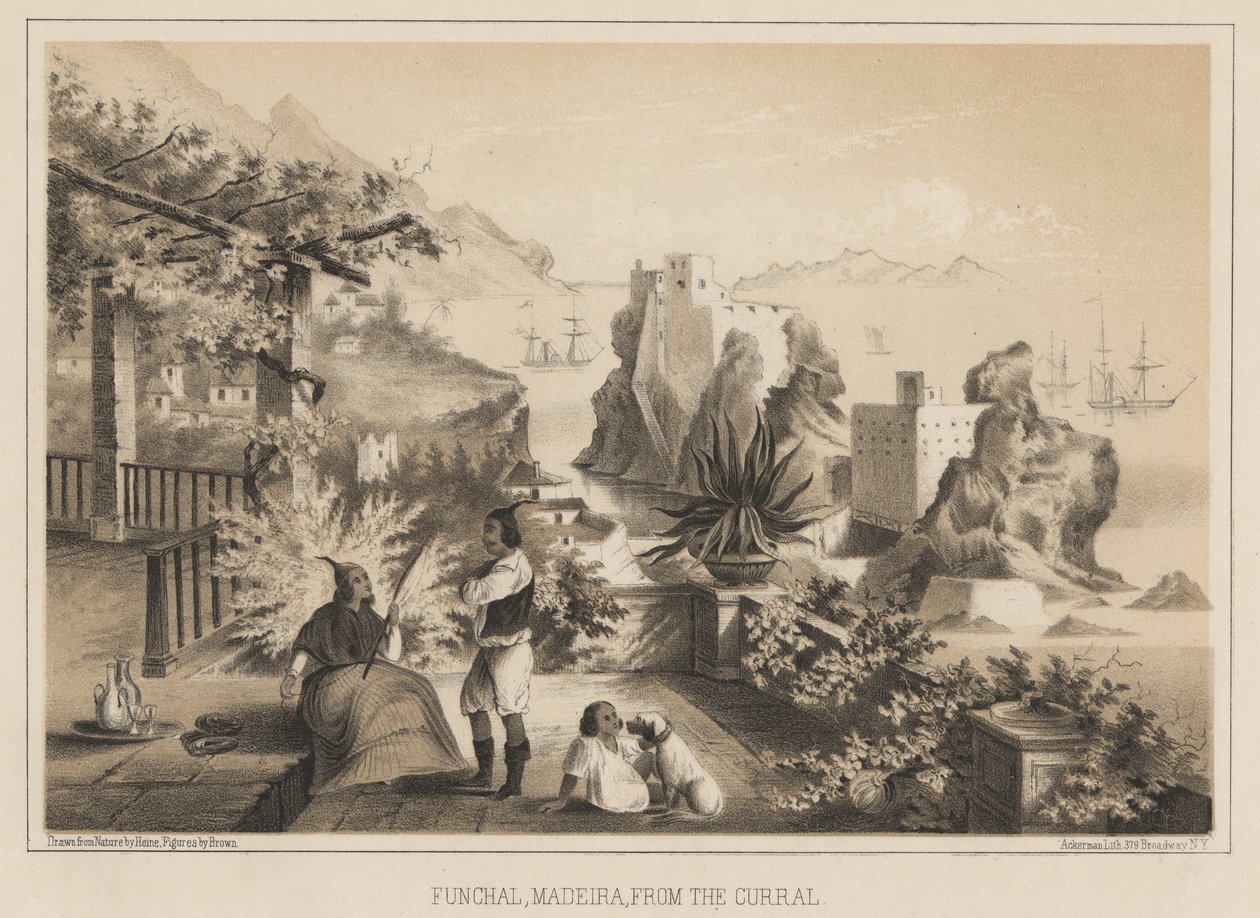 Funchal, Madeira, fra indhegningen, 1885 af Wilhelm Joseph Heine