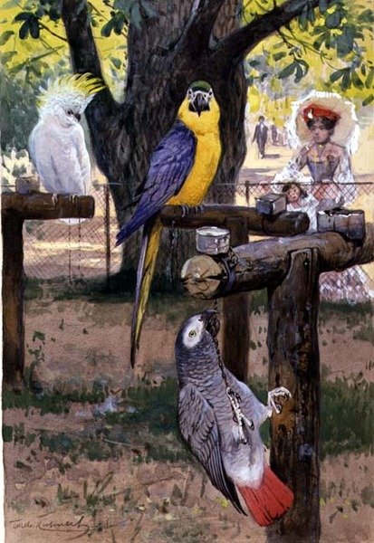 I zoologisk have af Wilhelm Kuhnert