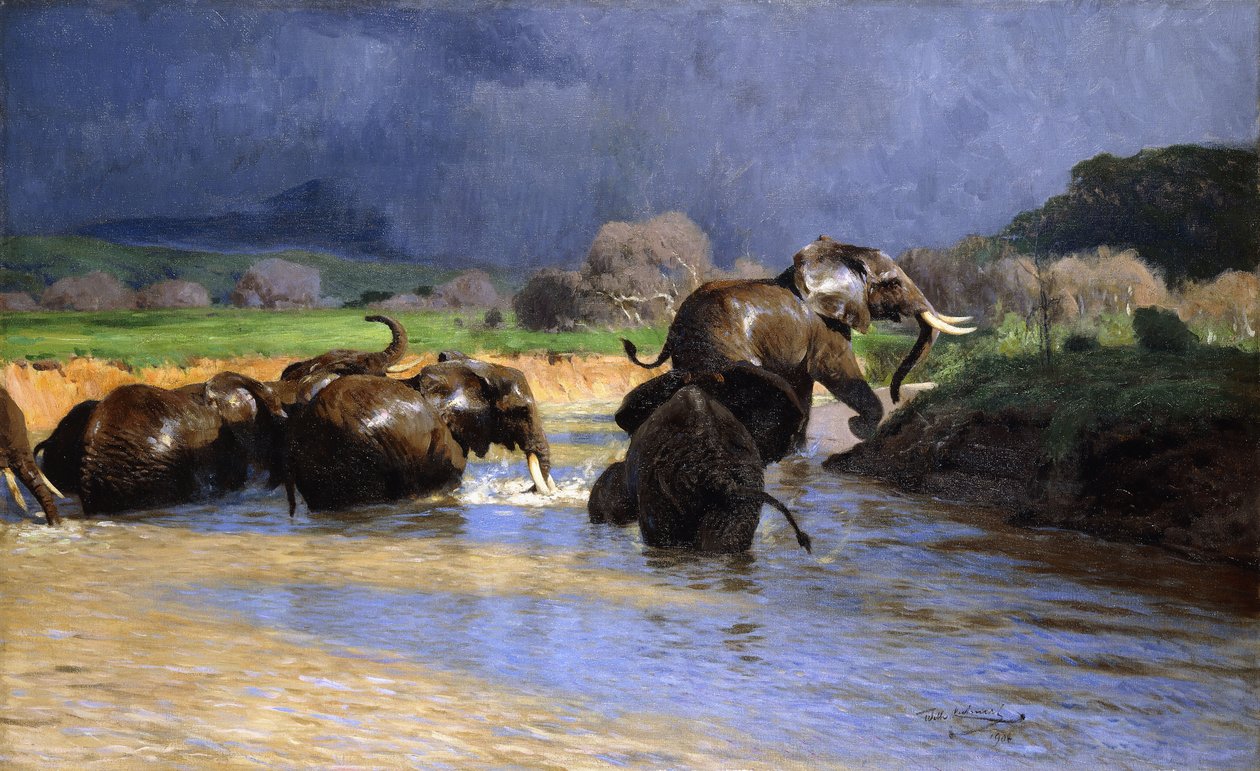 Elephants Bathing; Badende Elefanten, 1908 af Wilhelm Kuhnert
