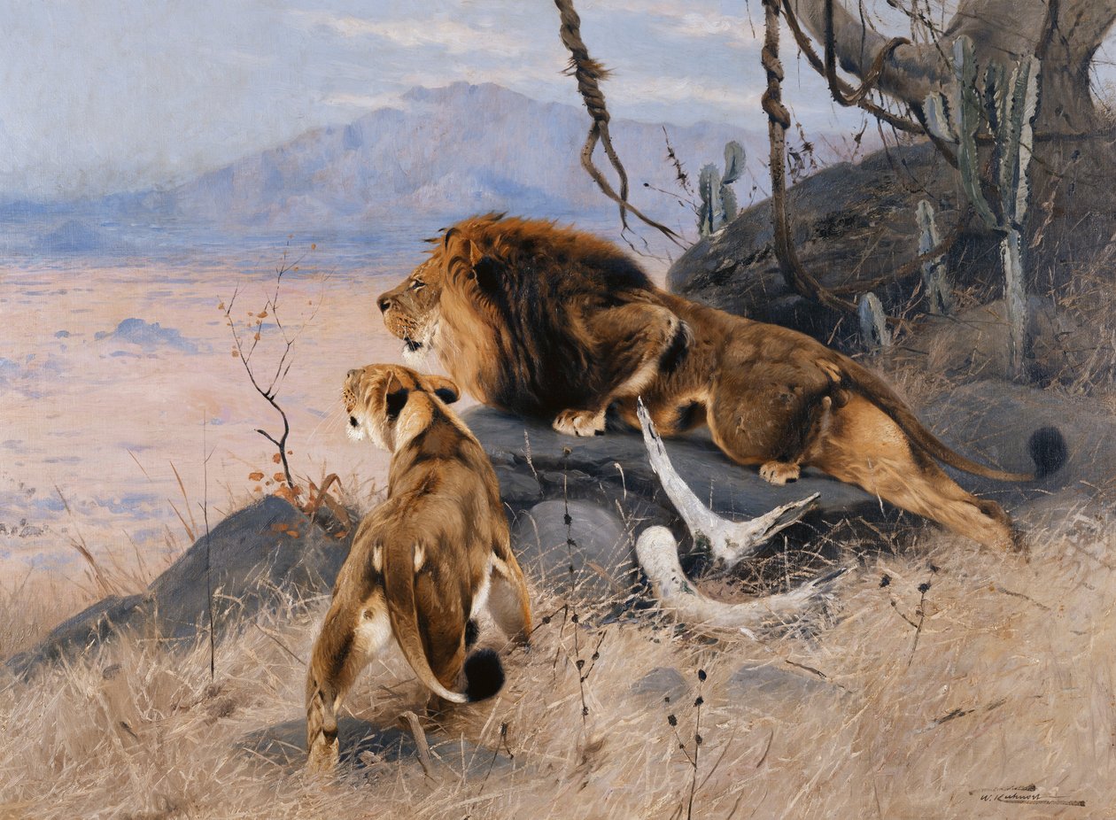 Løve og Løvinde; Lowe og Lowin, af Wilhelm Kuhnert