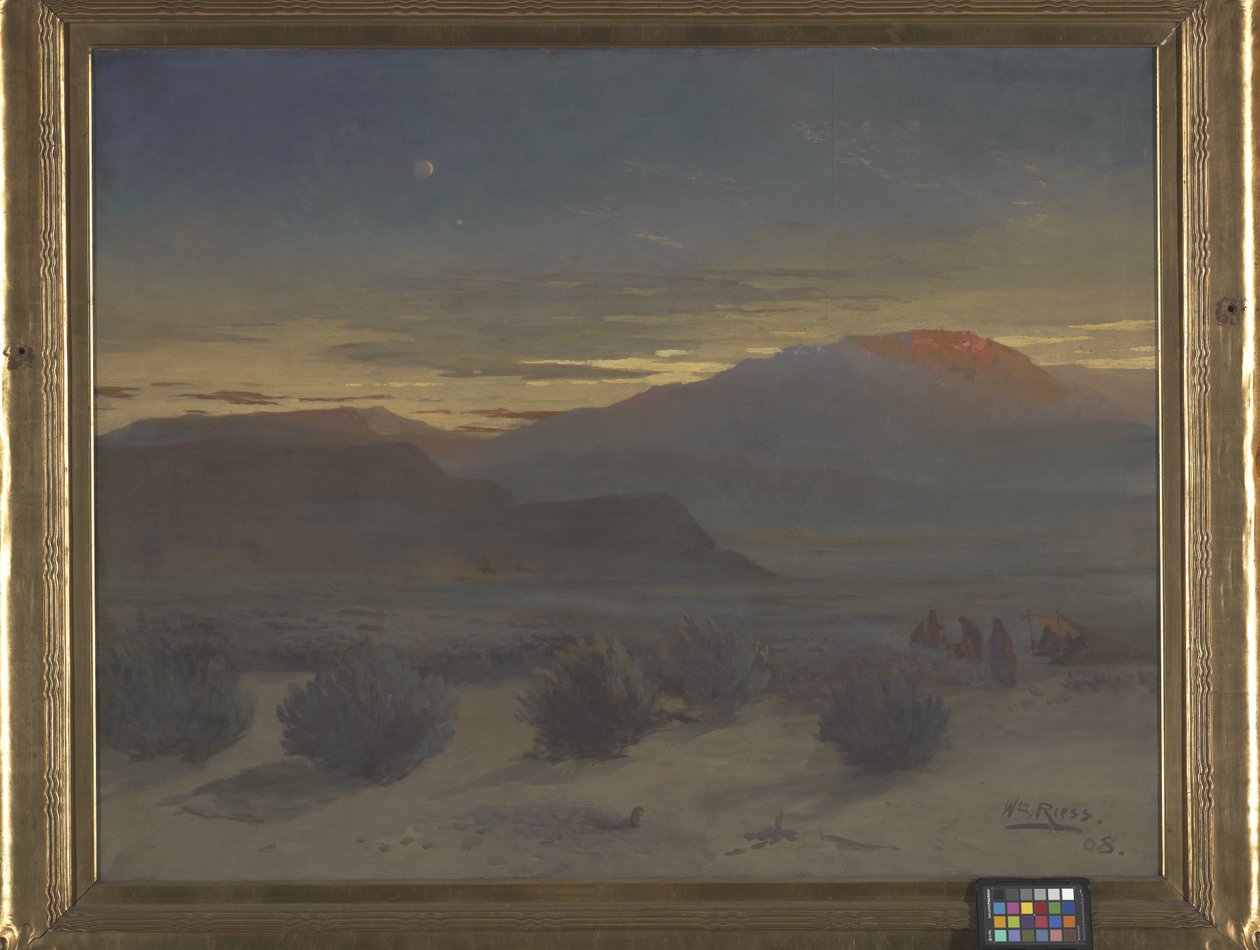 Wyoming-ørkenen af Wilhelm Riess