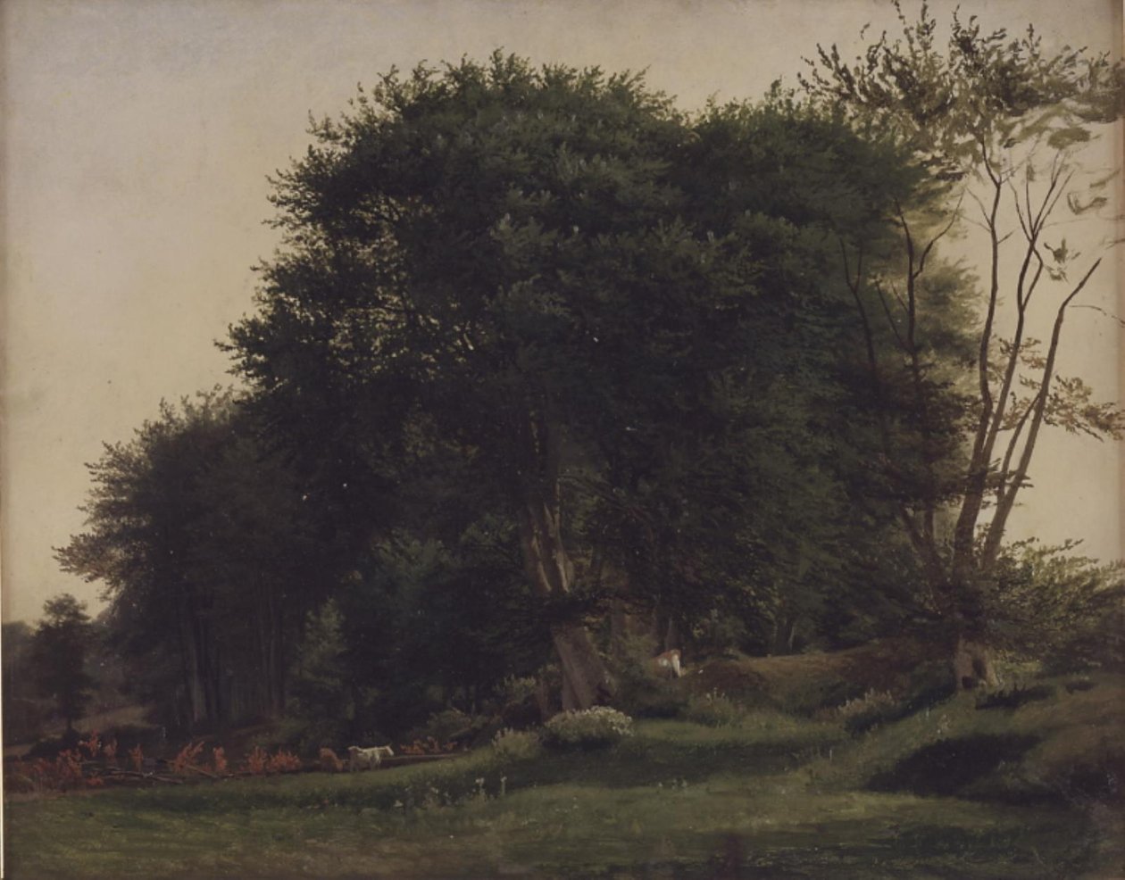 Skovlysning med kvæg af Wilhelm Xylander