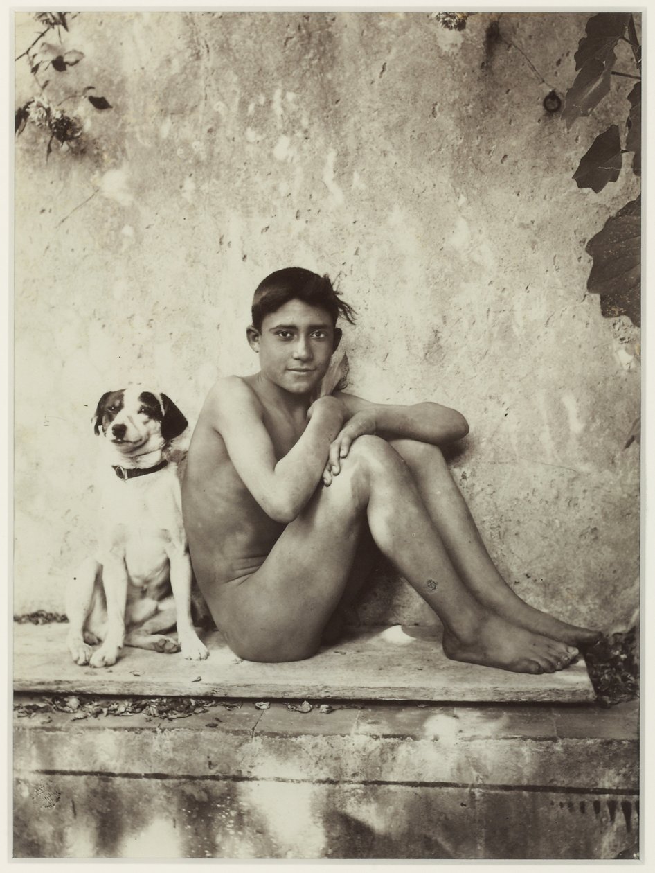 Boy and His Dog, Taormina, Italien, ca. 1900 (albumin print) af Baron Wilhelm von Gloeden