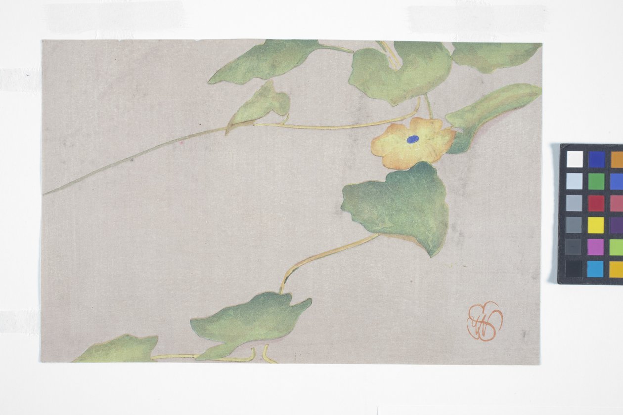 Flower Study, ca. 1908 (træblok i farver) af Wilhelmina Seegmiller