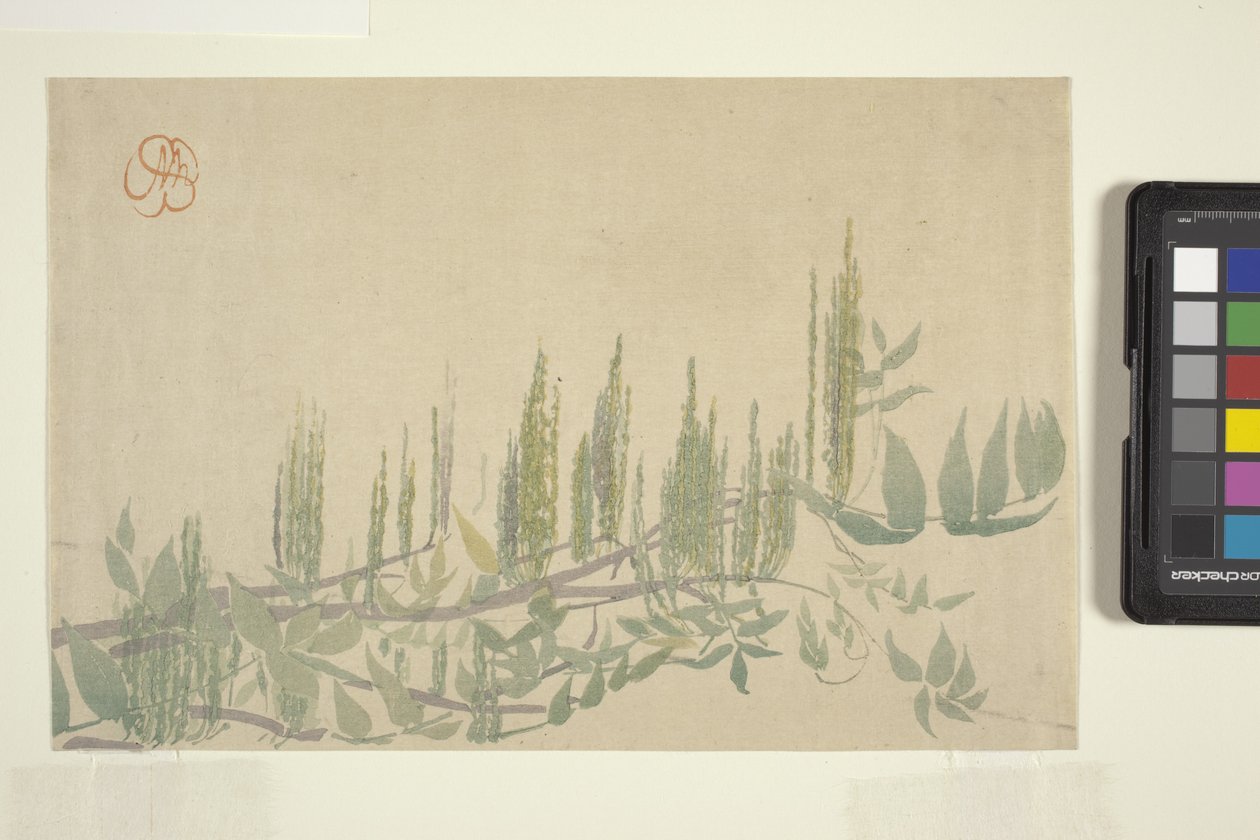 Wisteria, ca. 1908 (træbloktryk i farver) af Wilhelmina Seegmiller
