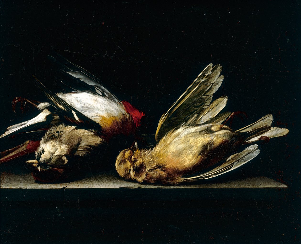 Døde små fugle af Willem van Aelst