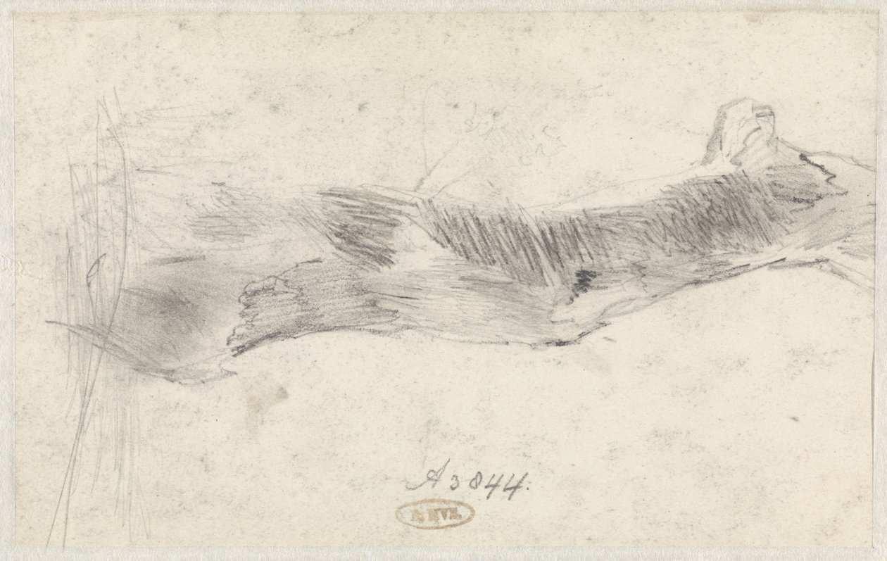 Studie af et træ af Willem Anthonie van Deventer