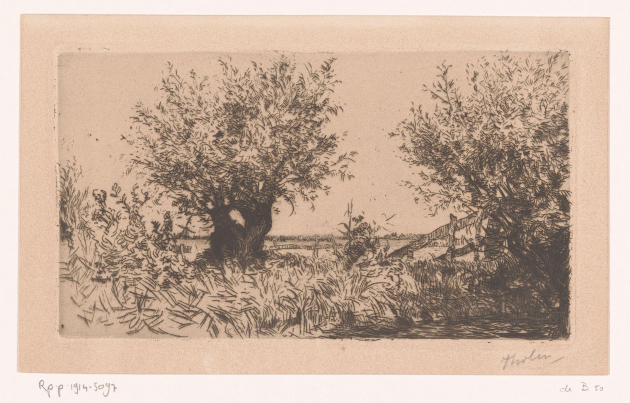 Landskab med eng, pilepil og hegn Willows (Kaag) (original titel) af Willem Bastiaan Tholen (signed by artist)