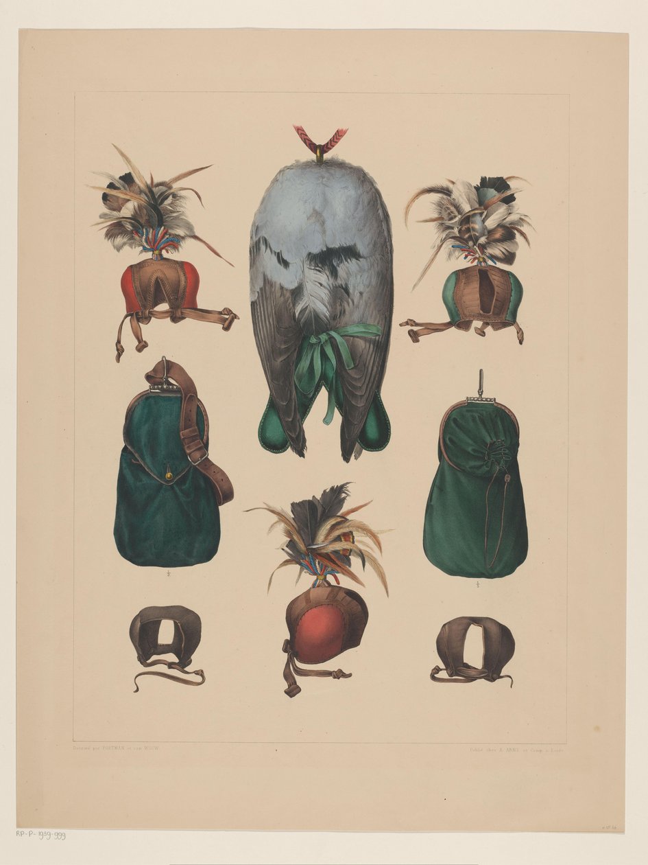 Falkejagtens egenskaber af Willem Bastiaan van Wouw (possibly)
