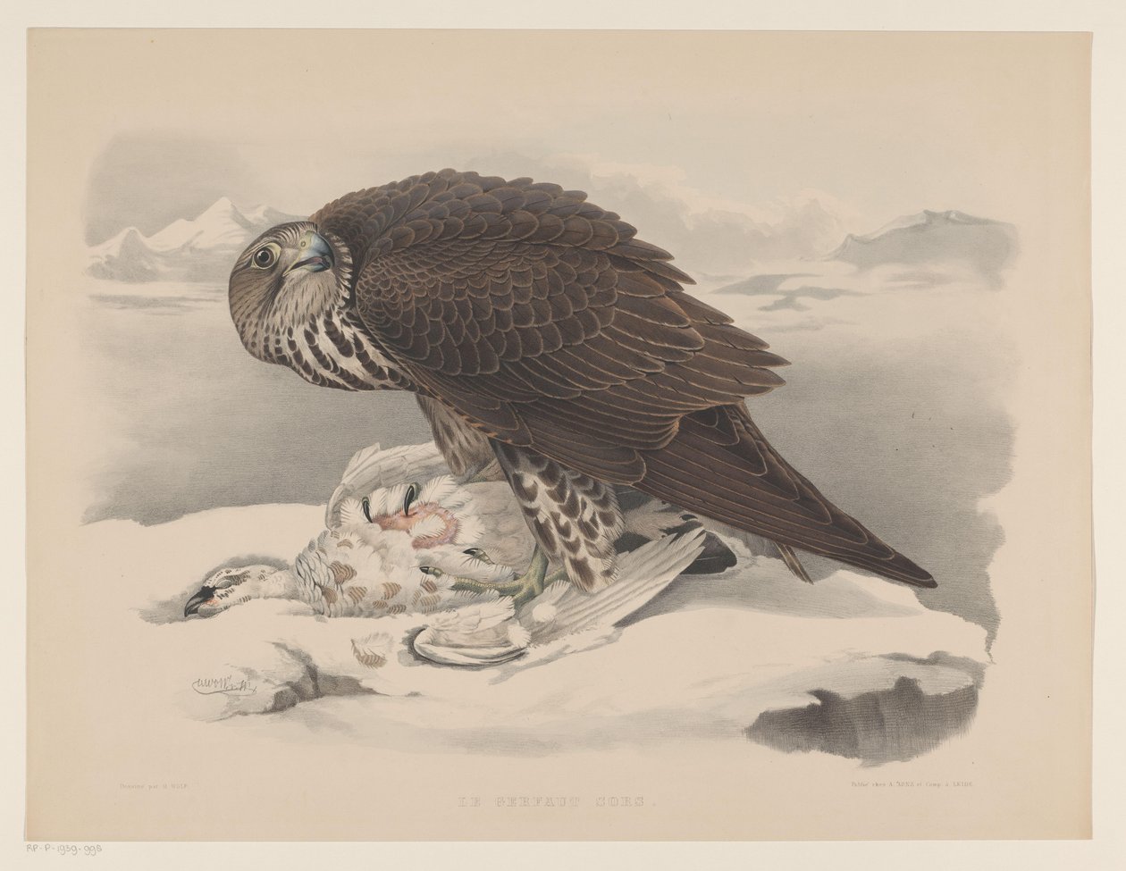 Gyrfalcon med rype Le gerfaut sors (titel på objekt) af Willem Bastiaan van Wouw