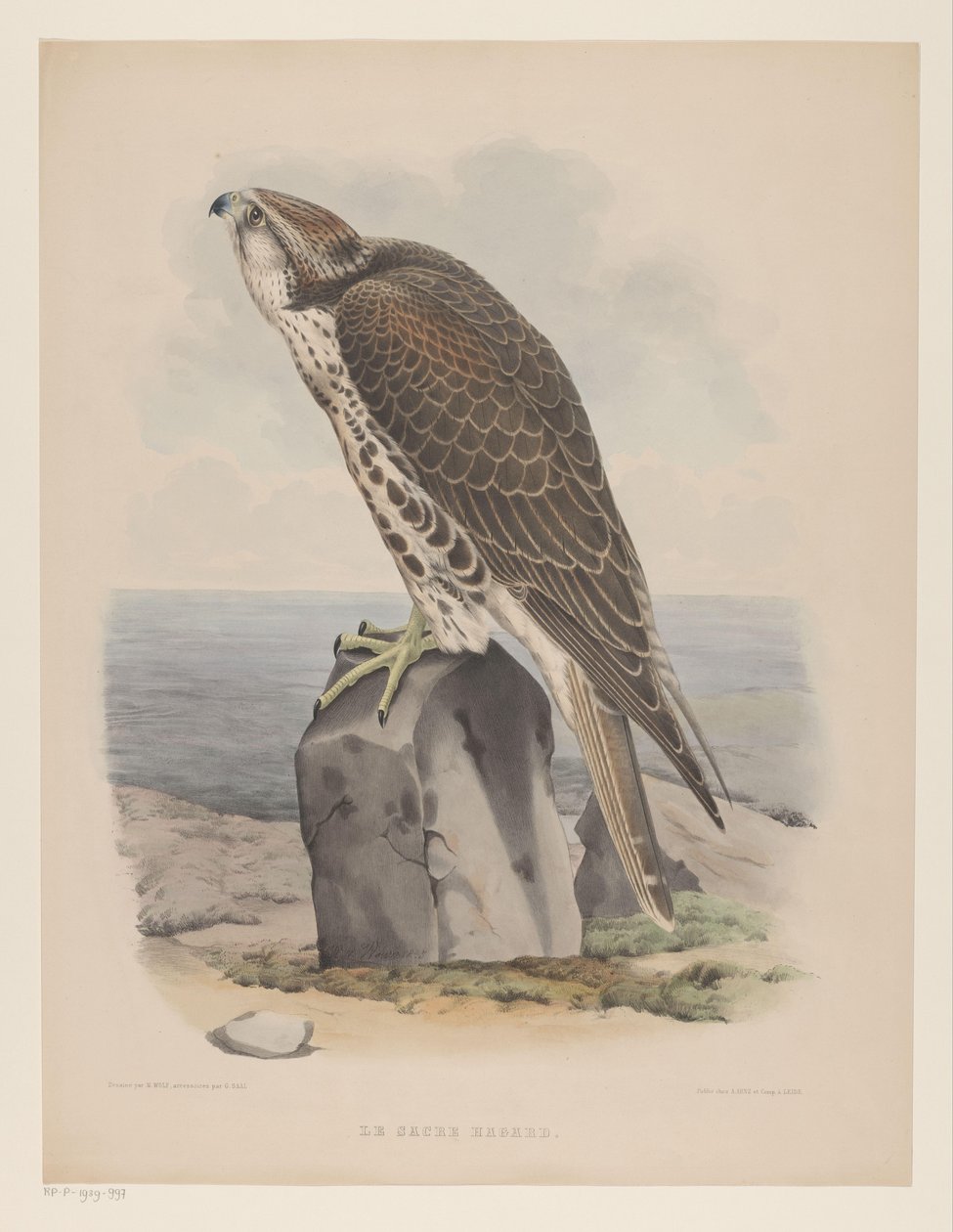 Valk Le sacre hagard (titel på objekt) af Willem Bastiaan van Wouw