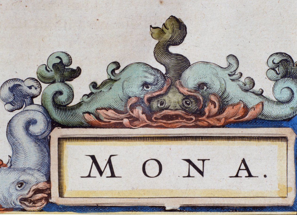 Delfiner, frontispice i Roquaille-stil. Detalje af Atlas di W. Blaeu, Amsterdam 1650. af Willem Blaeu