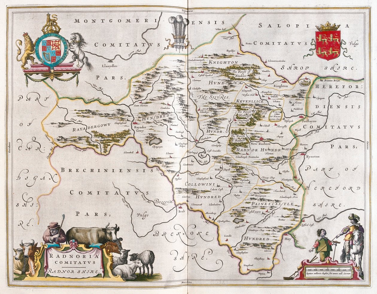 Radnorshire, i 