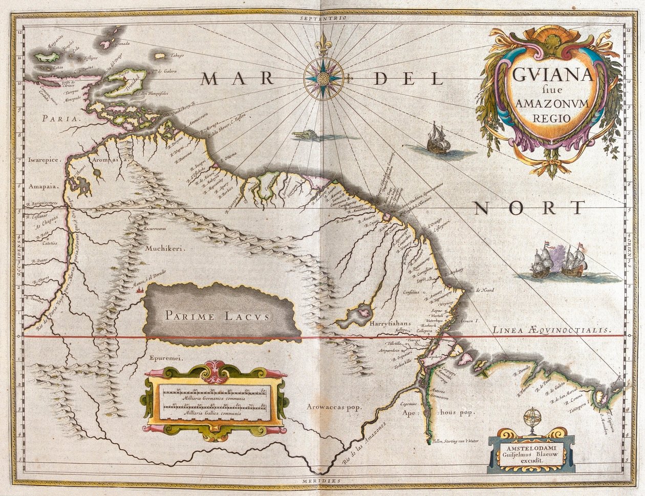 Orinoco-floden, Rio Amazzonas, Venezuela, det nordøstlige Brasilien, i 