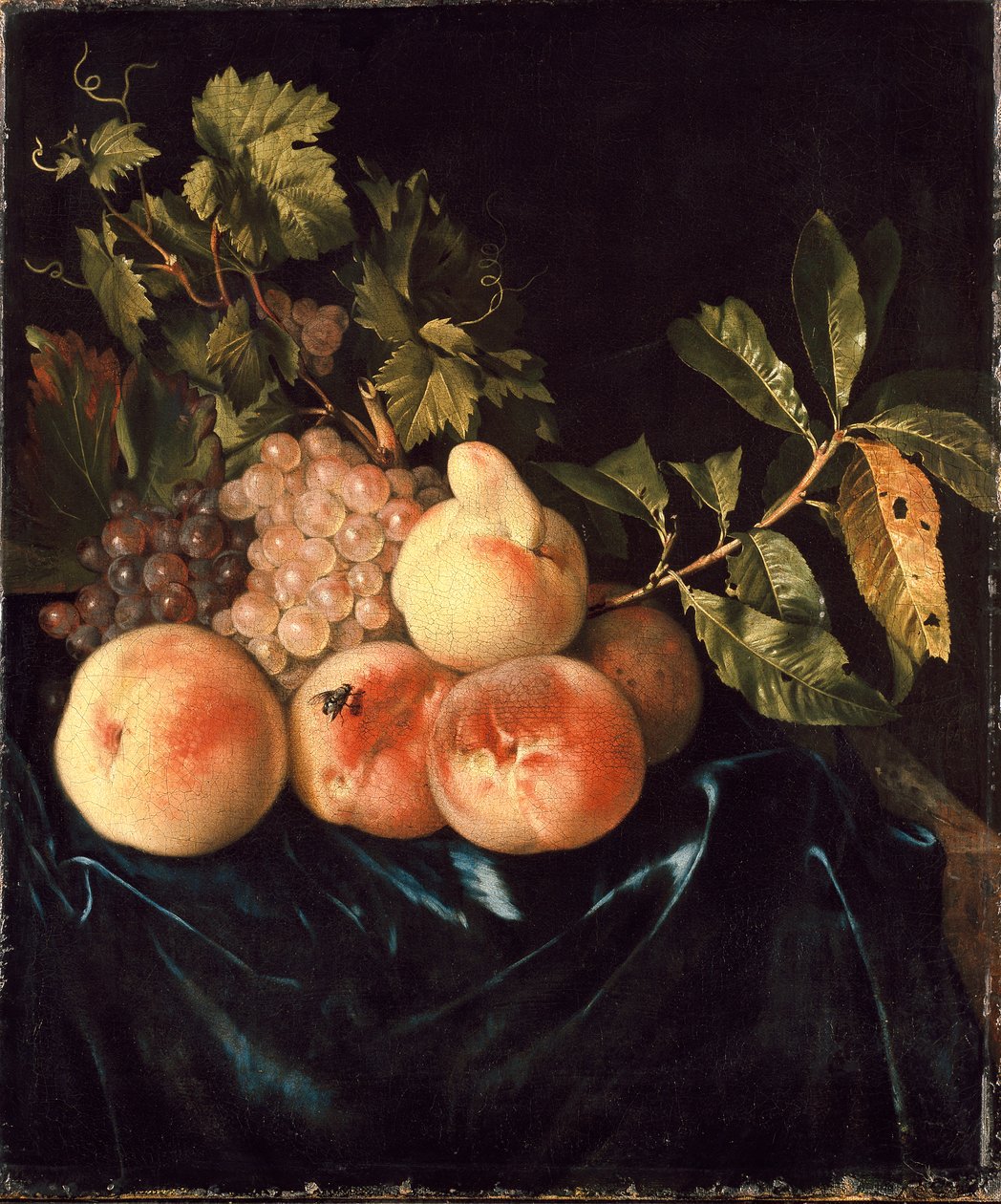 Stilleben af ferskner og druer, 1705 af Willem Frederiksz van Royen