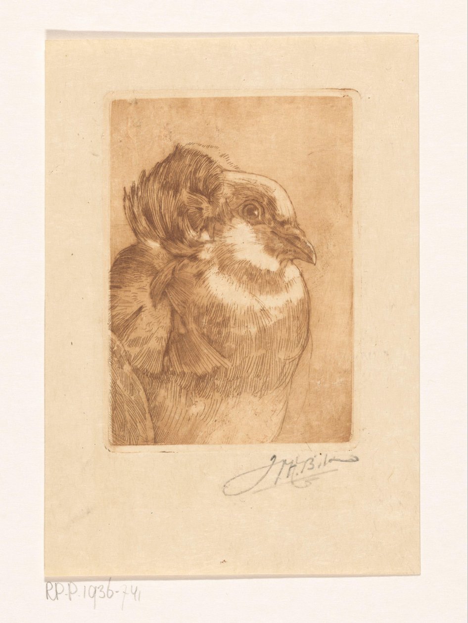 Studie af en due af Willem Hendrik Bik (signed by artist)