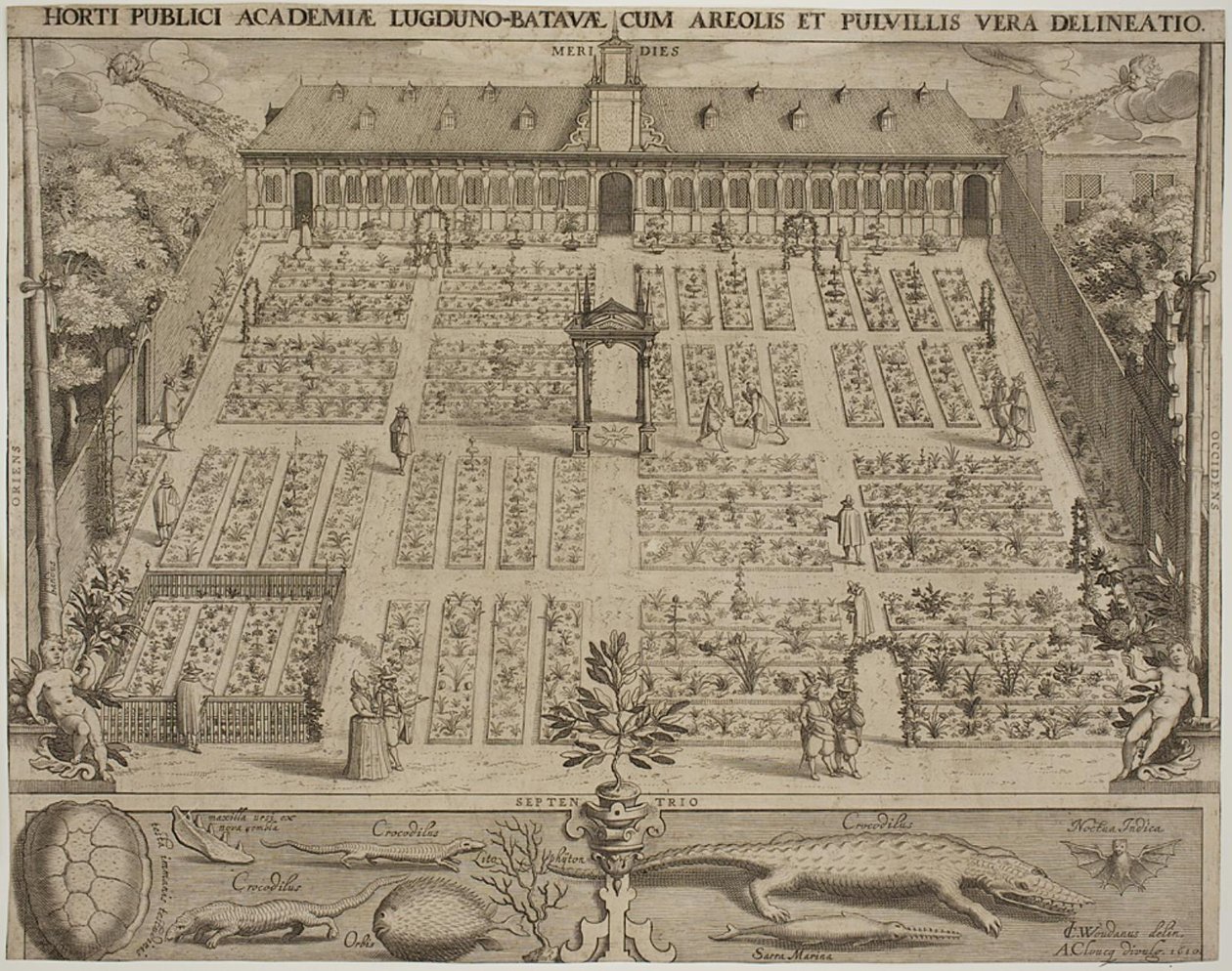 Den botaniske have i Leyden af Willem Isaaksz Swanenburgh