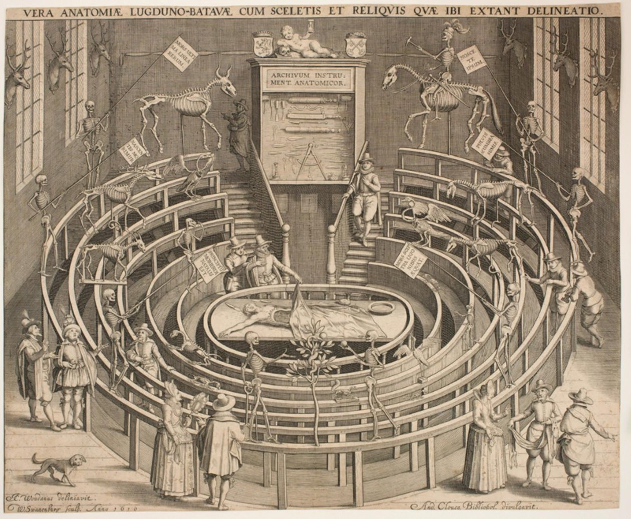 Det anatomiske teaters sal i Leyden af Willem Isaaksz Swanenburgh