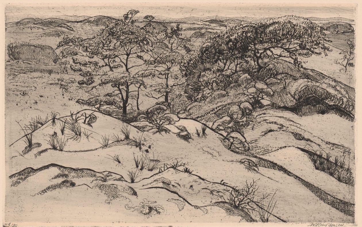 klitlandskab af Willem Jansen (graveur) (signed by artist)