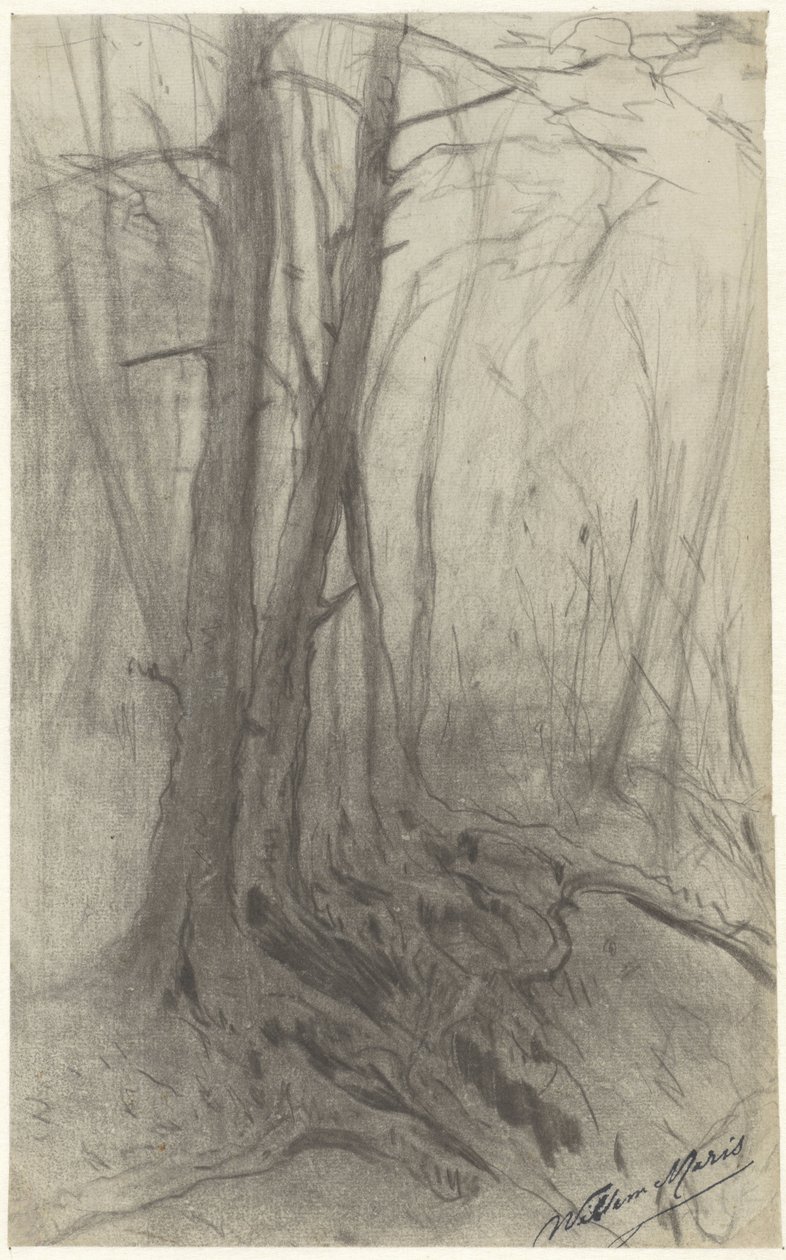 Træer i en skov af Willem Maris