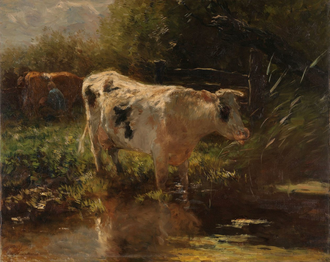 Ko ved siden af ​​en grøft Ko på grøftesiden af Willem Maris