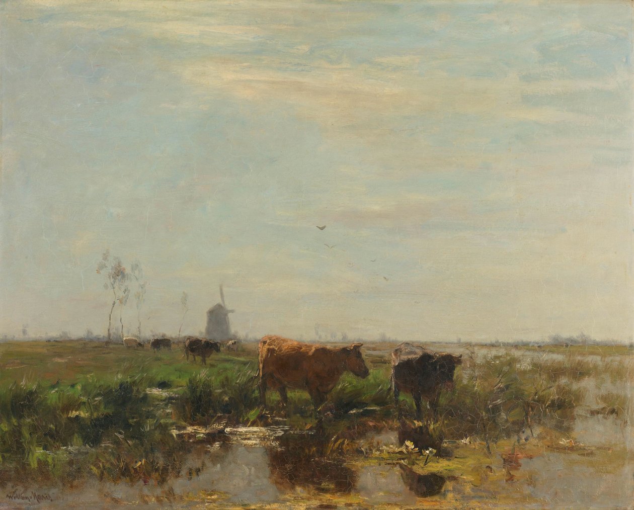 Eng med køer ved vandet Eng med køer ved siden af vandet af Willem Maris