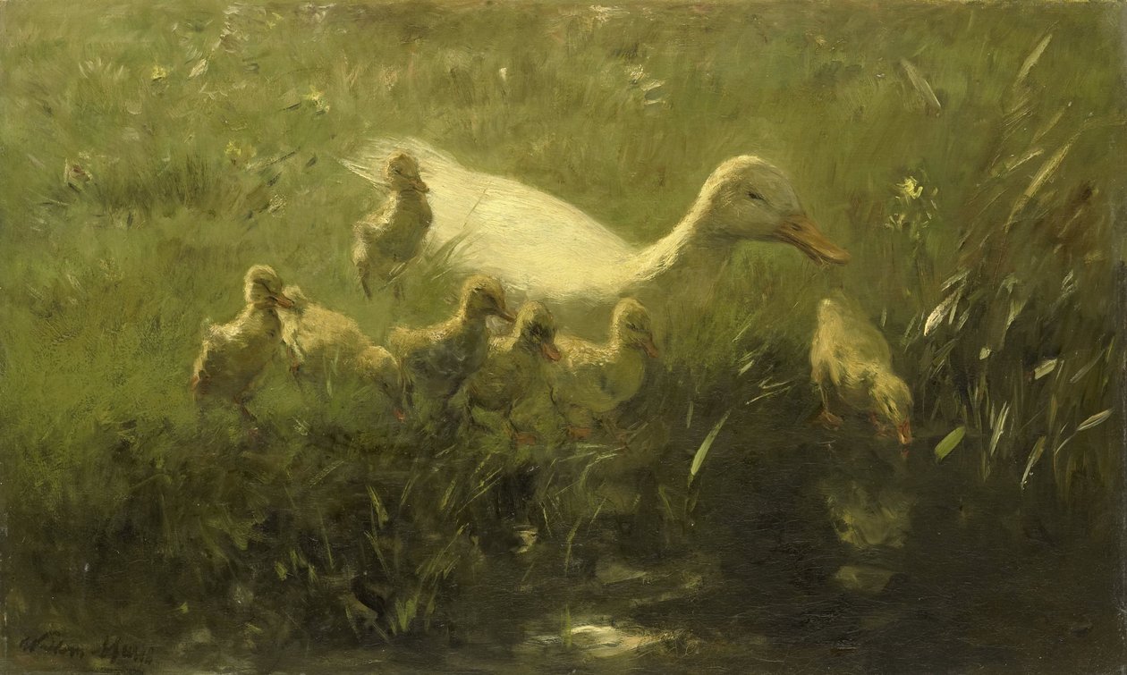 Hvid and med kyllinger af Willem Maris