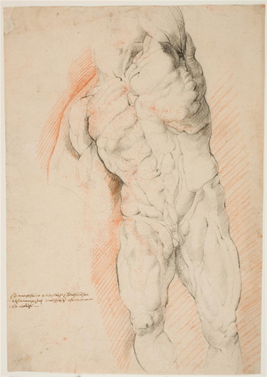 Anatomisk undersøgelse (écorché). Forfra af stående flået mand med venstre arm hævet af Willem Panneels