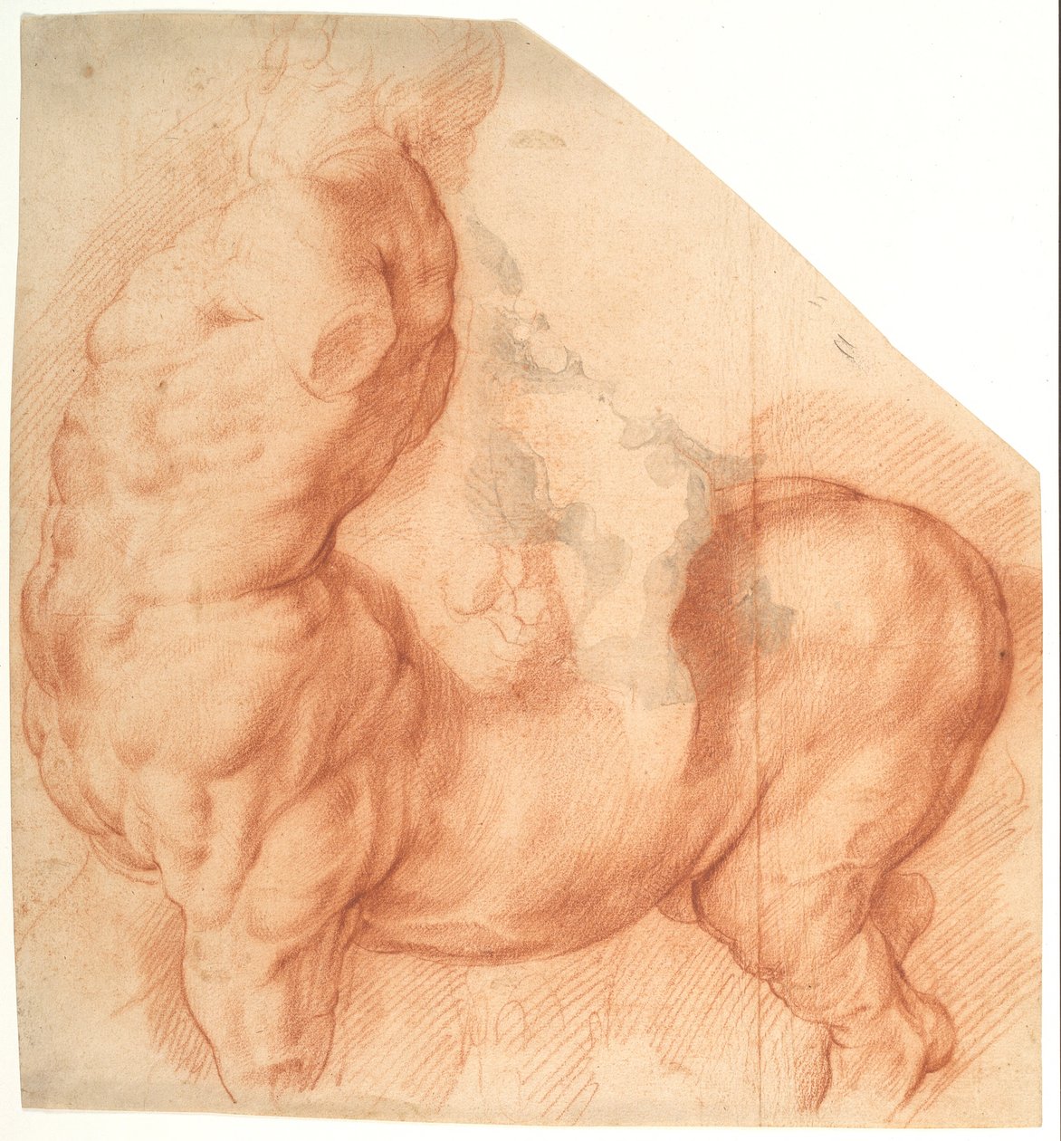 Centaur Tamed. Antik skulptur set fra venstre af Willem Panneels