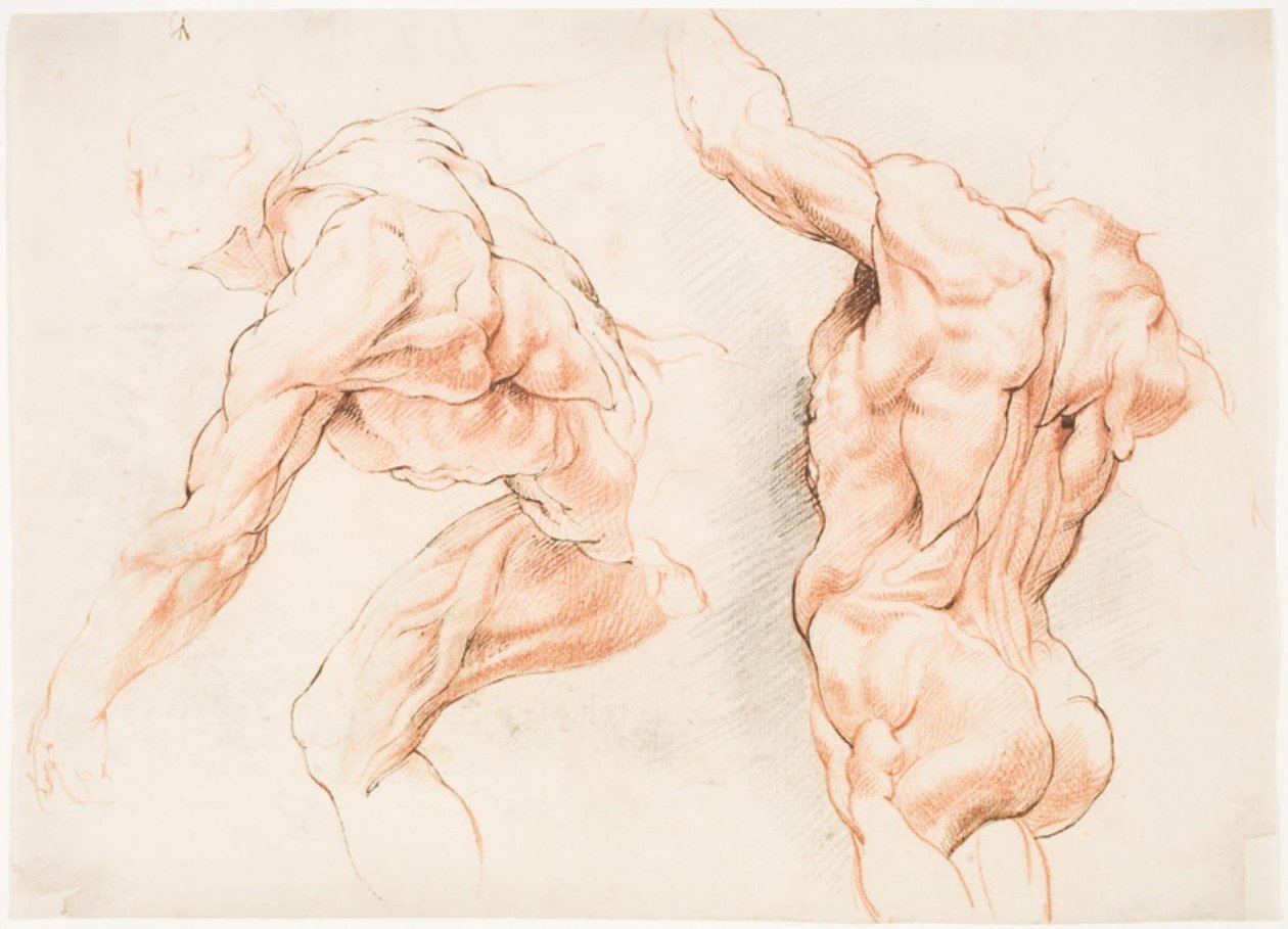 To anatomiske studier af en mand, der læner sig mod venstre, og en anden set bagfra med løftet arm (écorché) af Willem Panneels