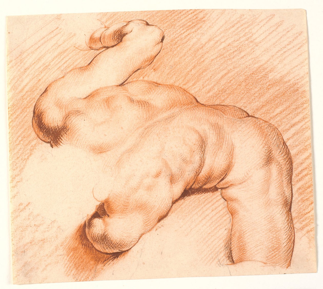 Wrestlere. Antik skulpturgruppe. Øverste figur af Willem Panneels