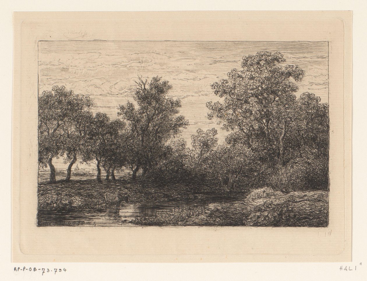 Bøg af Willem Roelofs (I)