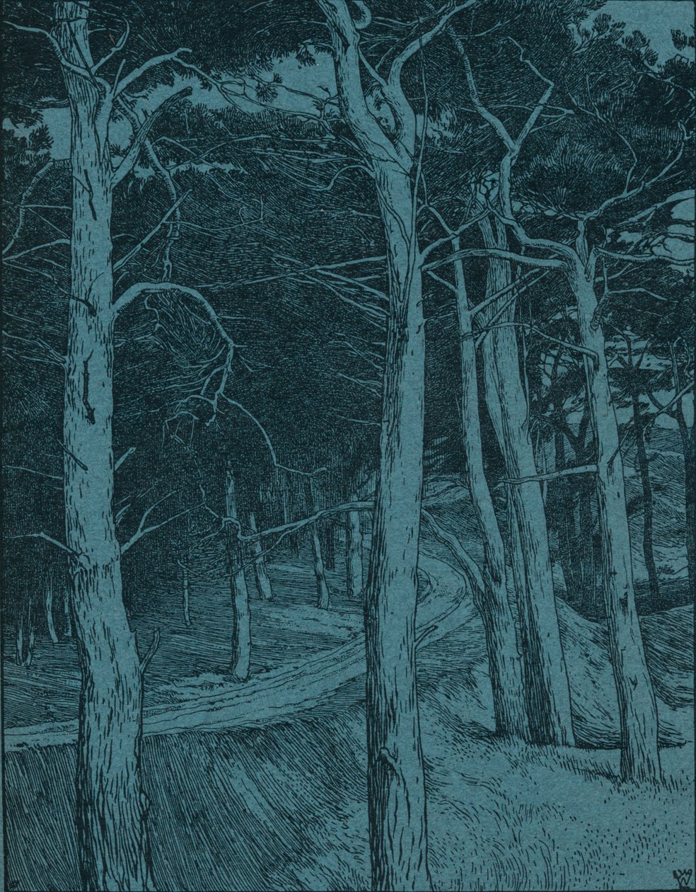 Woodland, c1912 af Willem Wenckebach