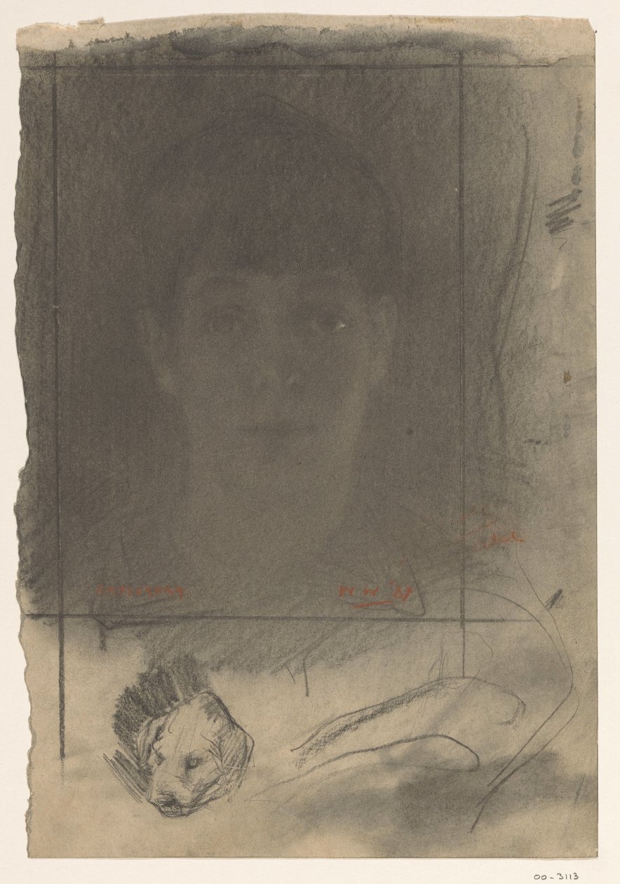 Portret, en face af Willem Arnoldus Witsen
