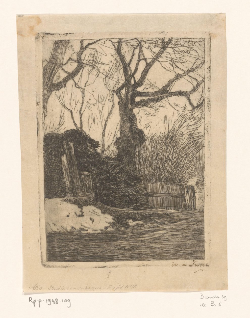 Træer og bøsser ved et hegn Kviste nær et hegn med træer (original titel) af Willem de Zwart (signed by artist)