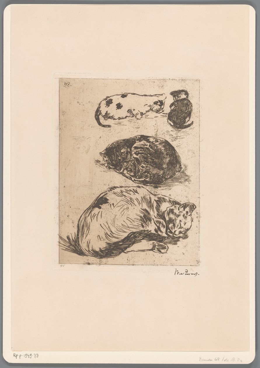 Undersøgelse af katte (original titel) af Willem de Zwart (signed by artist)