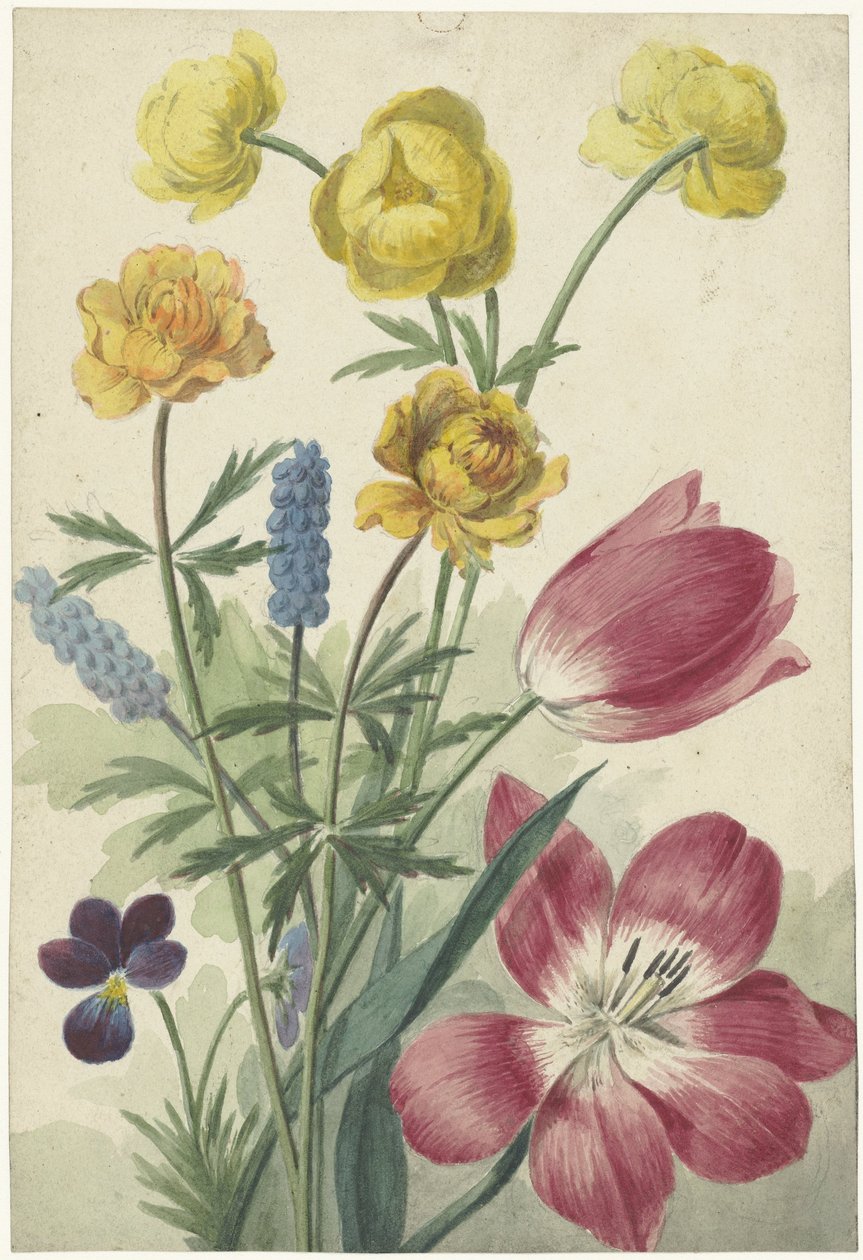 Buket af tulipaner, violer, druehyacinter og datters af Willem van Leen