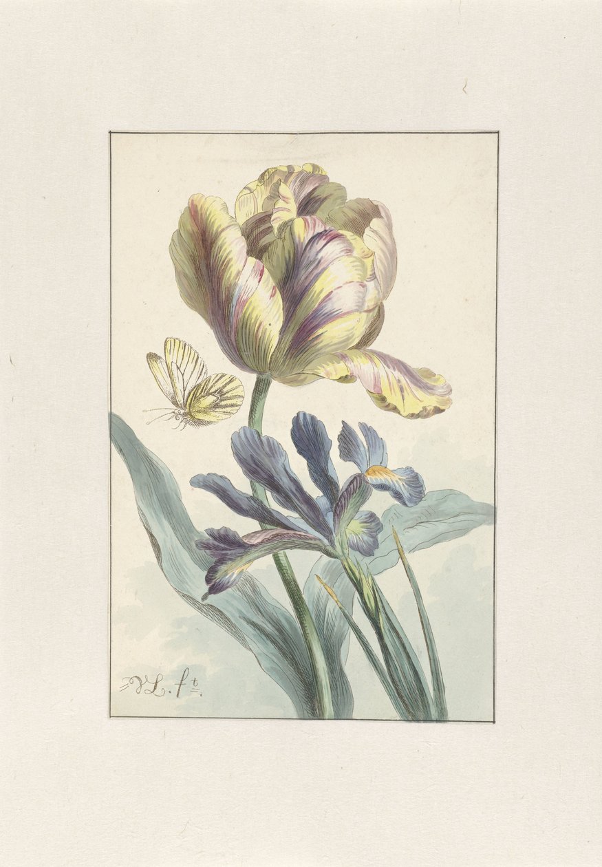 Tulipan og Iris af Willem van Leen