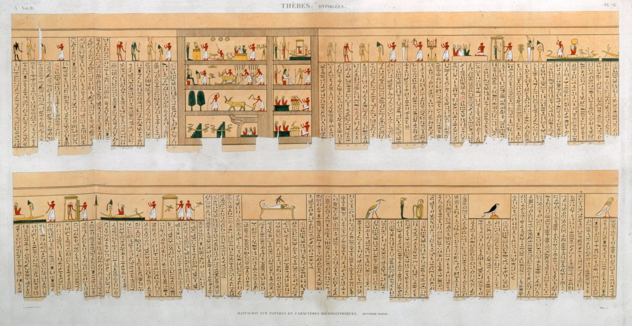 Illustrationer af et manuskript med hieroglyfer, fra en grav i Theben, Egypten, 1822 af Willemin