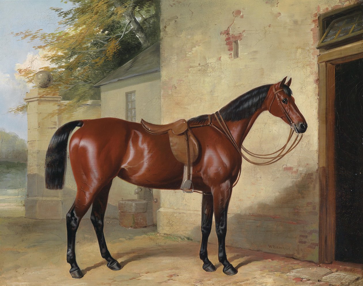 Sadlet bay hest af William Barrand